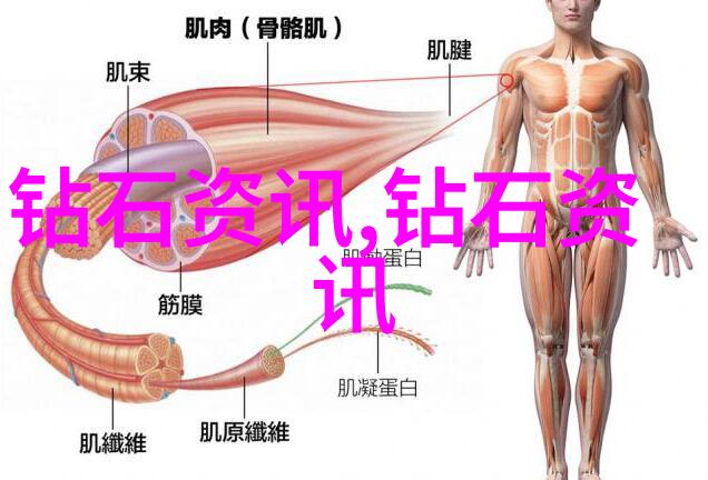 托马斯和他的朋友们都分别叫什么